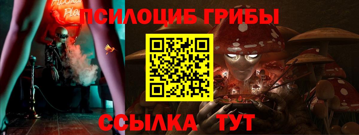 Галлюциногенные грибы прущие грибы  Вход с VPN  Магадан  Псилоцибиновые грибы мухоморы 
